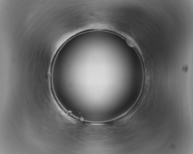 X0000111161343200906301352