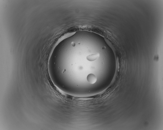 X0000111161345200906301351