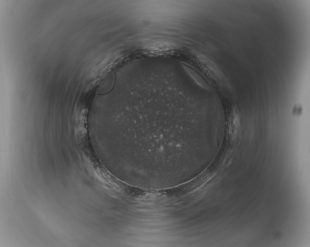 X0000111161346200906301351