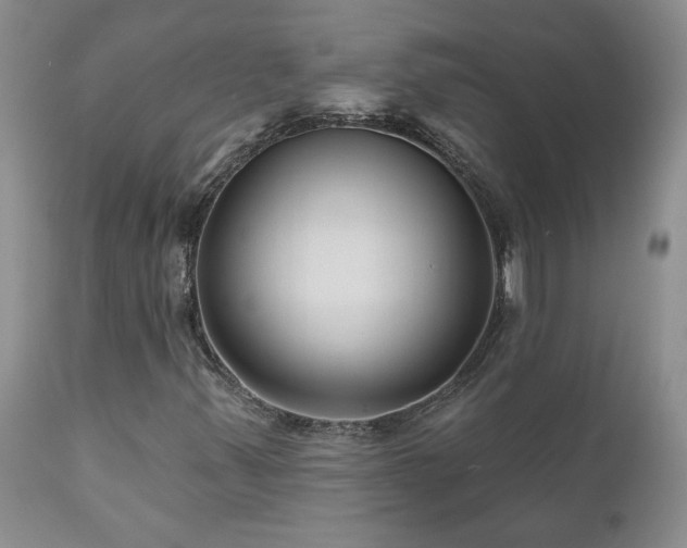 X0000111161347200906301351