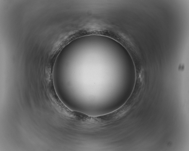 X0000111161348200906301351