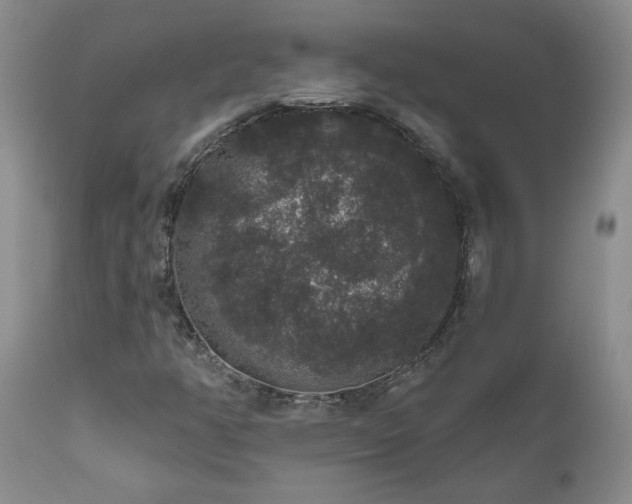 X0000111161350200906301351