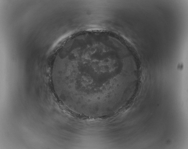 X0000111161351200906301351