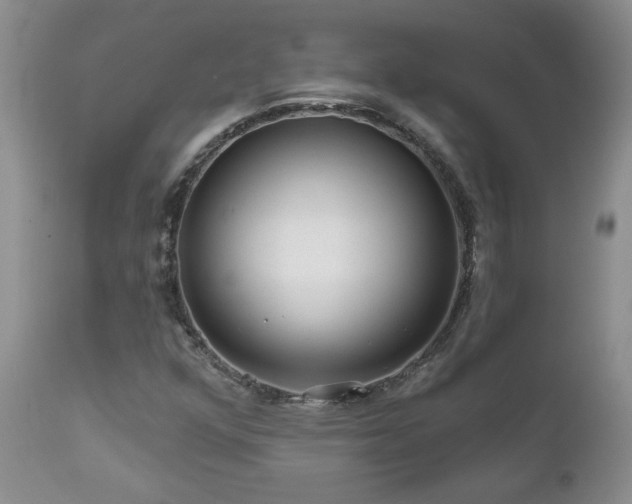 X0000111161352200906301351