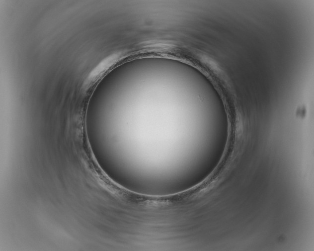 X0000111161354200906301351