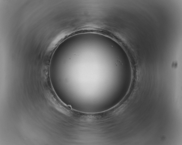 X0000111161355200906301351