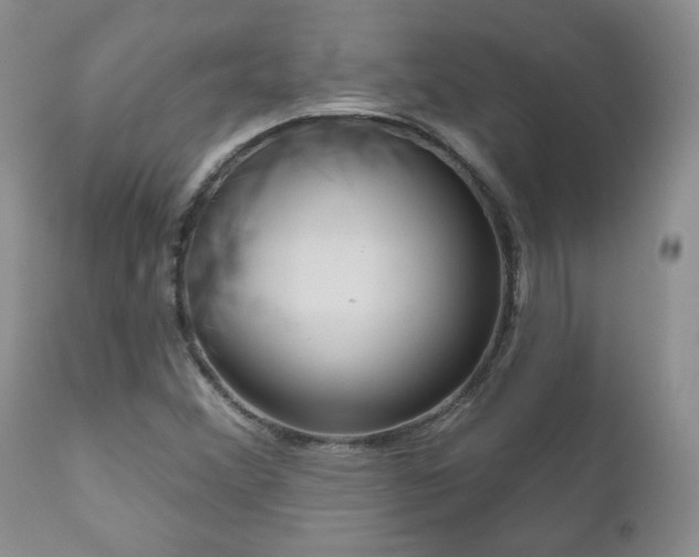 X0000111161356200906301351