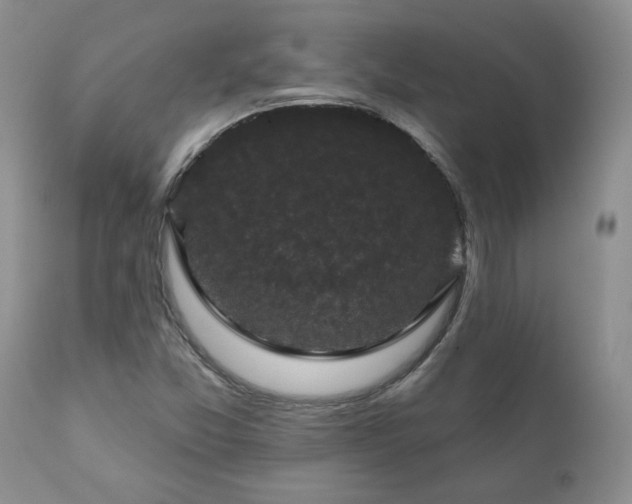 X0000111161357200906301351