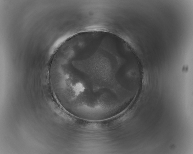 X0000111161358200906301351