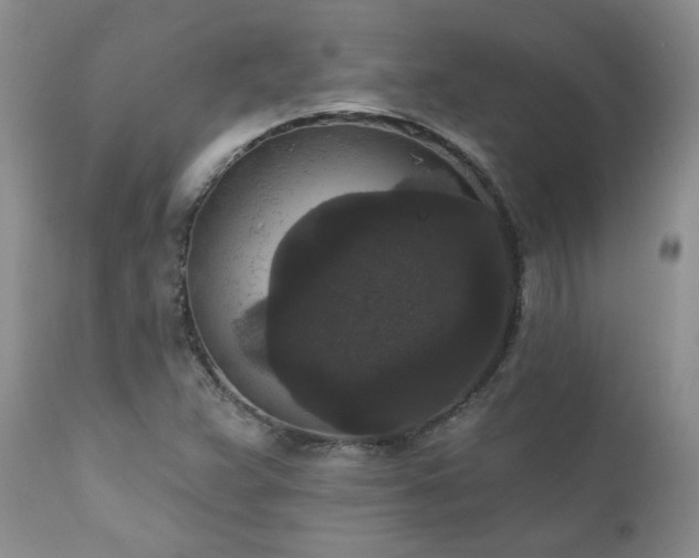 X0000111161359200906301351