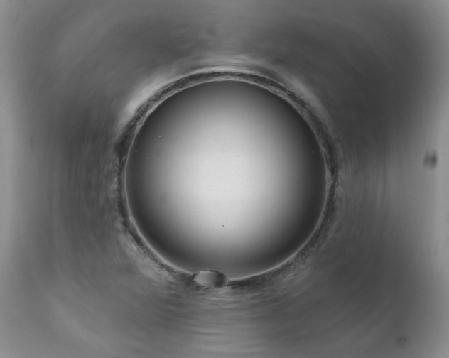 X0000111161360200906301351