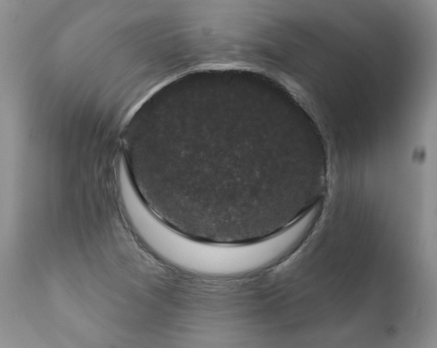 X0000111161361200906301351