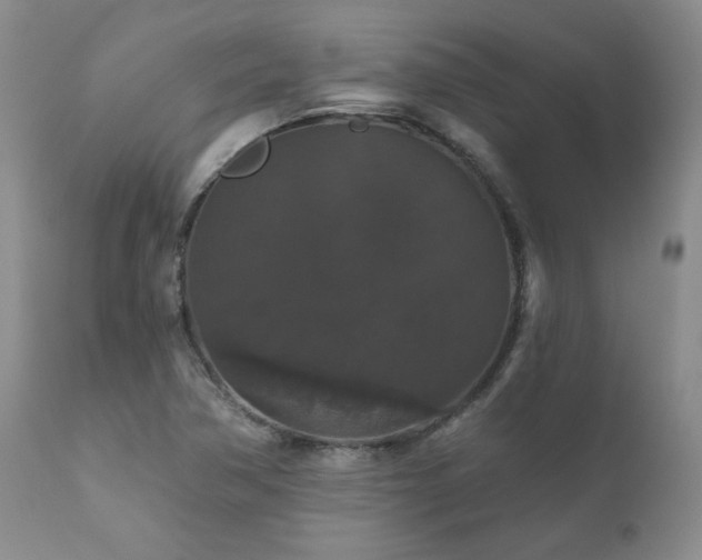 X0000111161362200906301351
