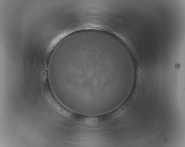 X0000111161363200906301351