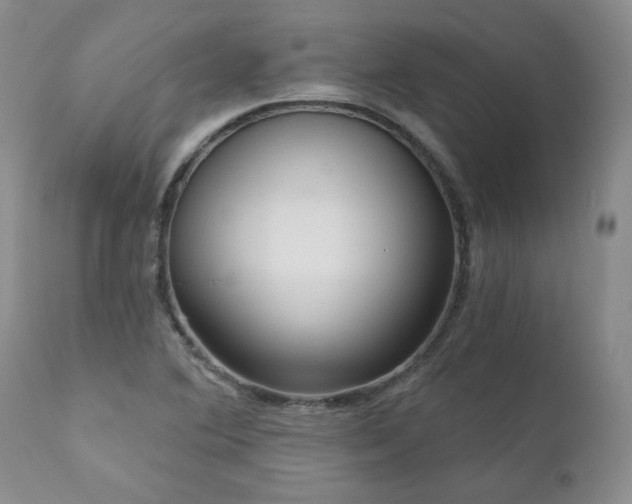 X0000111161364200906301351