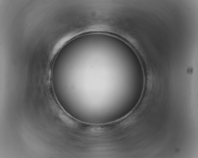 X0000111161366200906301351