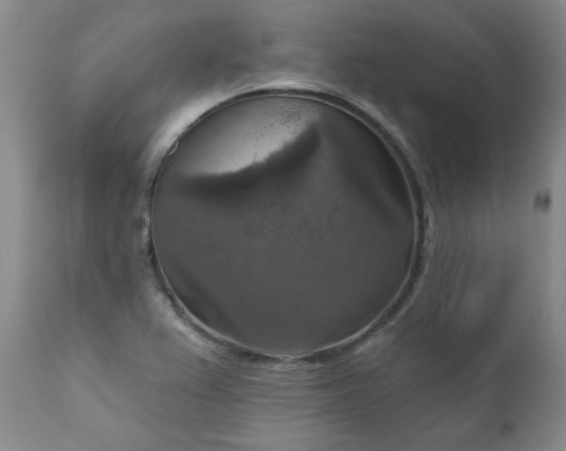X0000111161367200906301351