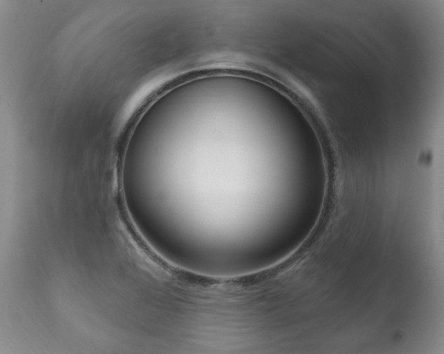 X0000111161368200906301351