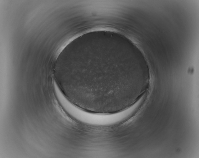 X0000111161369200906301351