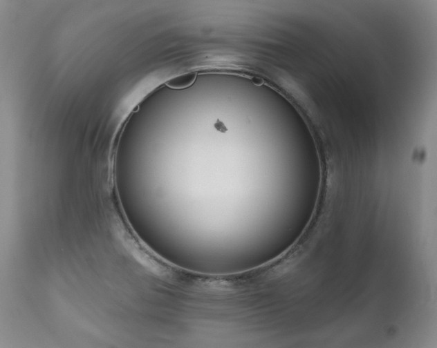 X0000111161370200906301351