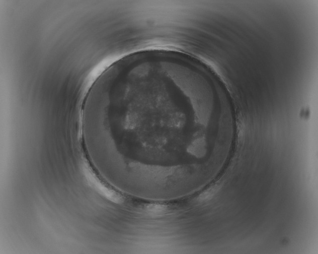 X0000111161371200906301351