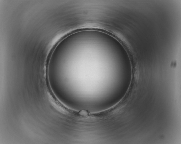 X0000111161372200906301351