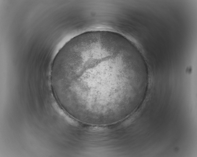 X0000111161374200906301351