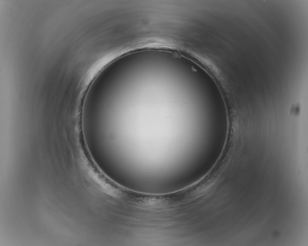 X0000111161375200906301350