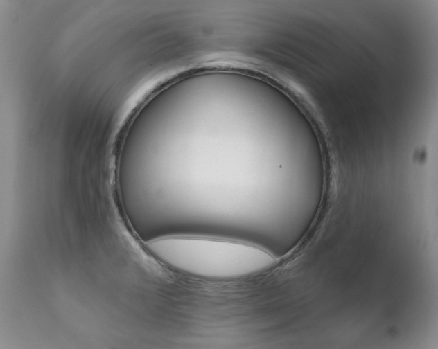 X0000111161376200906301350