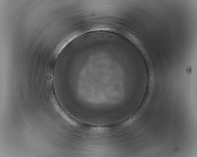 X0000111161377200906301350