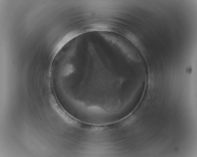 X0000111161378200906301350