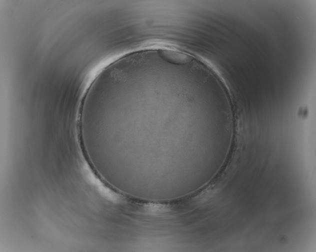 X0000111161379200906301350