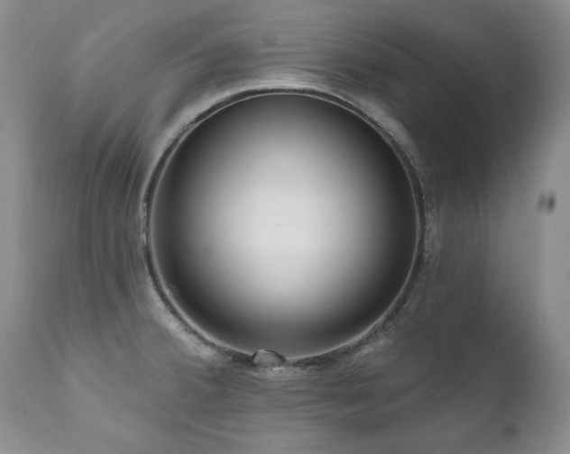 X0000111161380200906301350