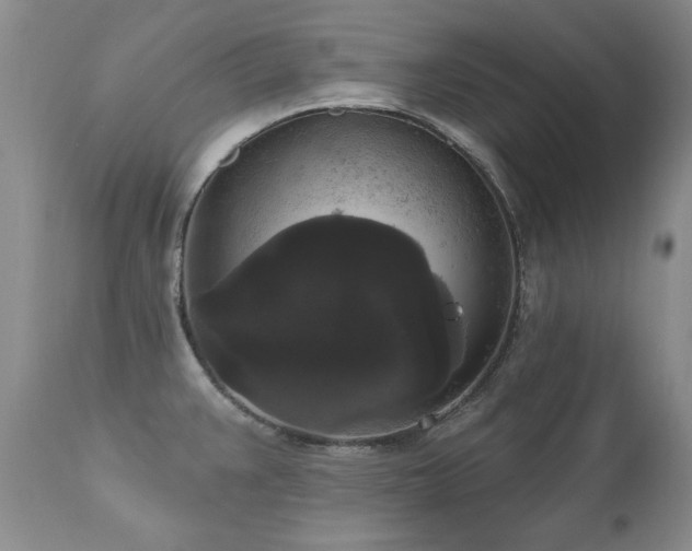 X0000111161383200906301350