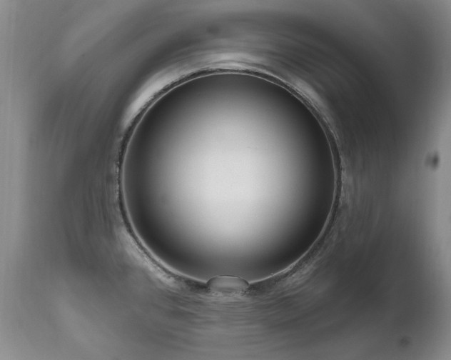 X0000111161384200906301350