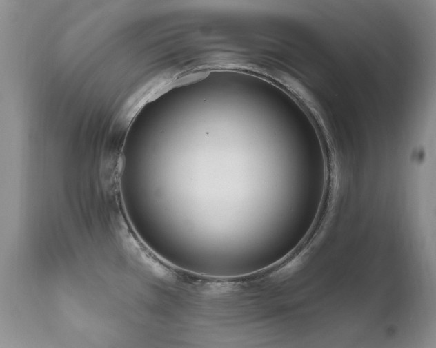 X0000111161385200906301350