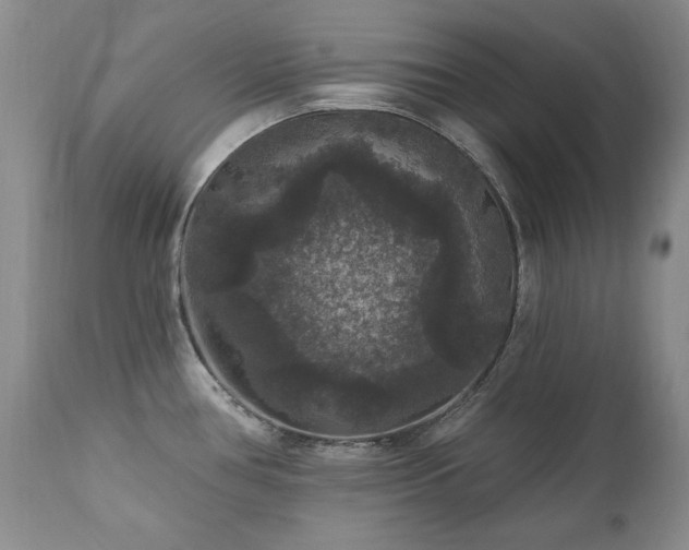 X0000111161386200906301350
