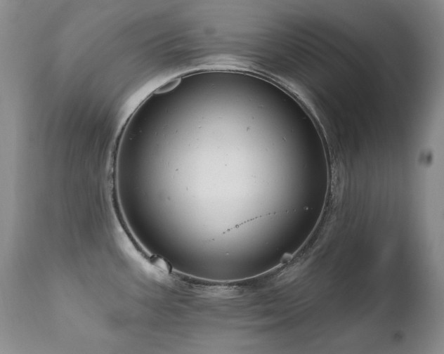 X0000111161387200906301350