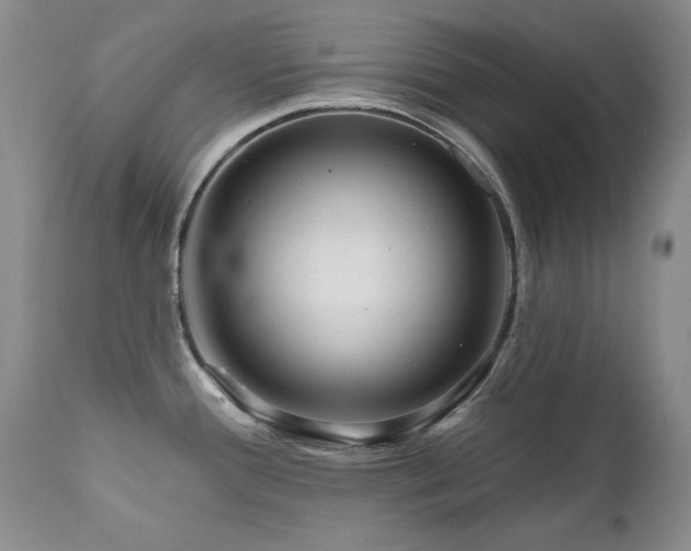 X0000111161388200906301350