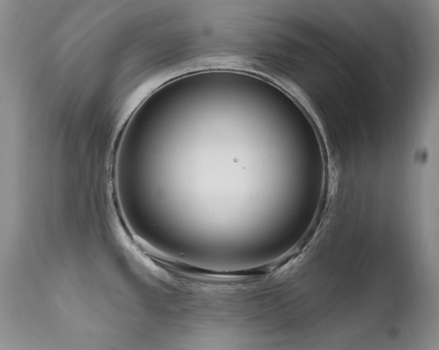 X0000111161389200906301350