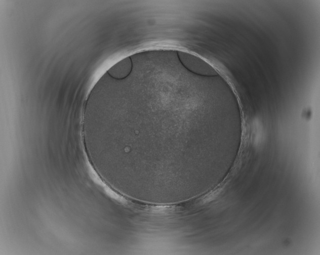 X0000111161390200906301350