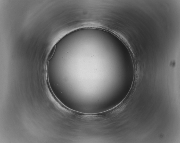 X0000111161391200906301350