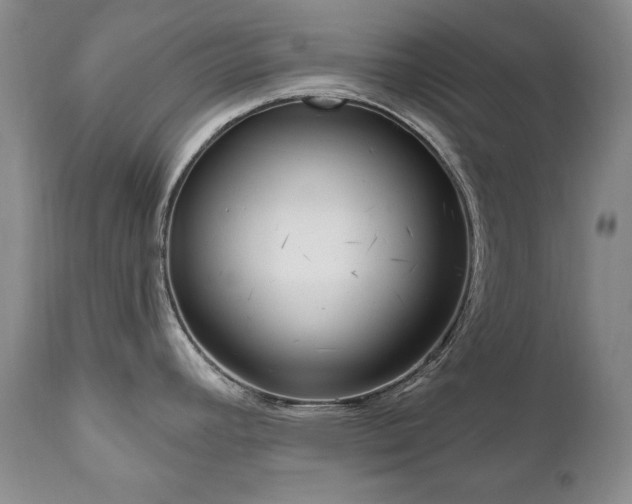 X0000111161392200906301350