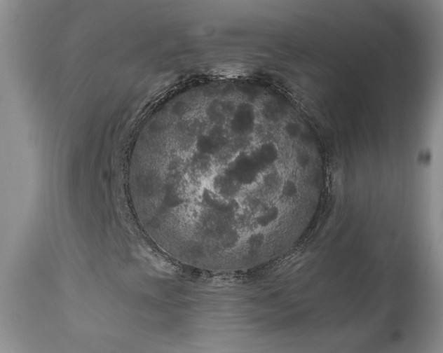 X0000111161393200906301349
