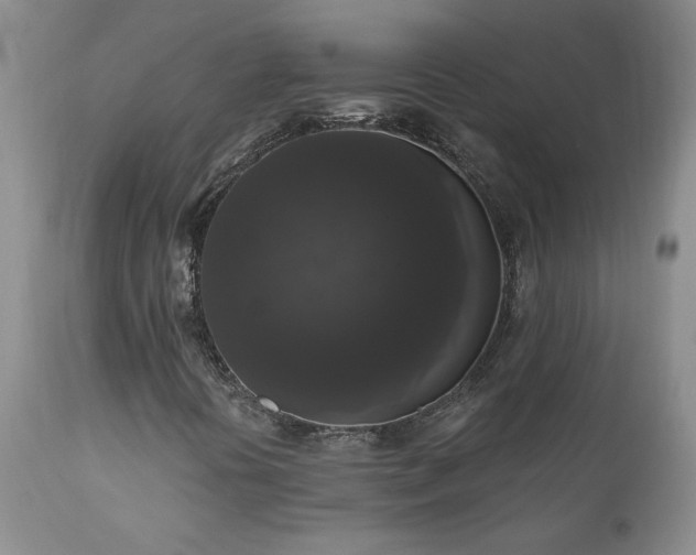 X0000111161394200906301349