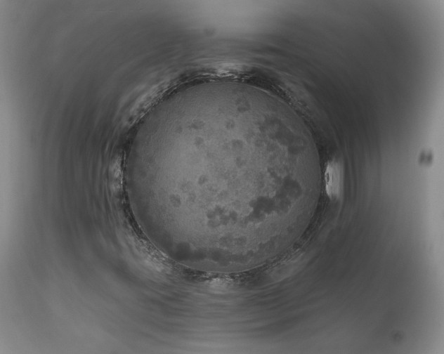 X0000111161395200906301349