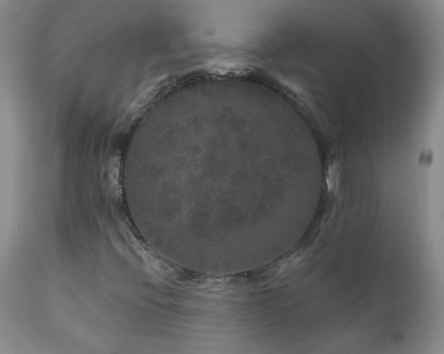 X0000111161396200906301349