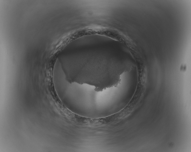 X0000111161397200906301350