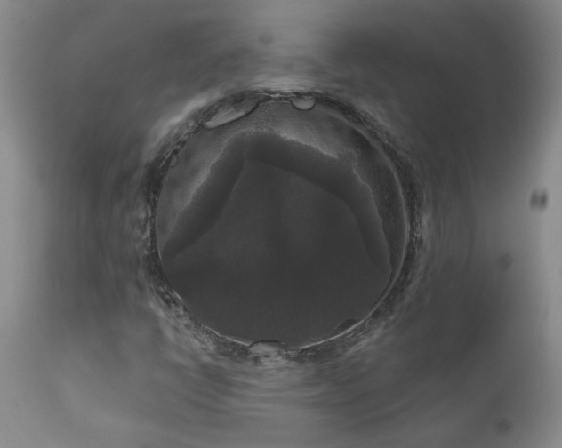 X0000111161398200906301350