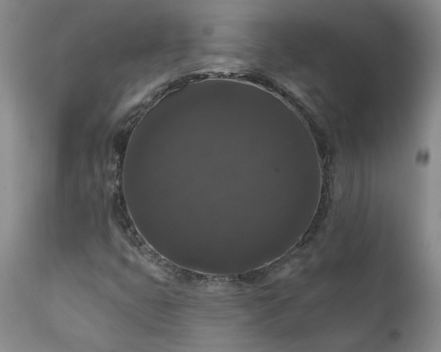 X0000111161399200906301350